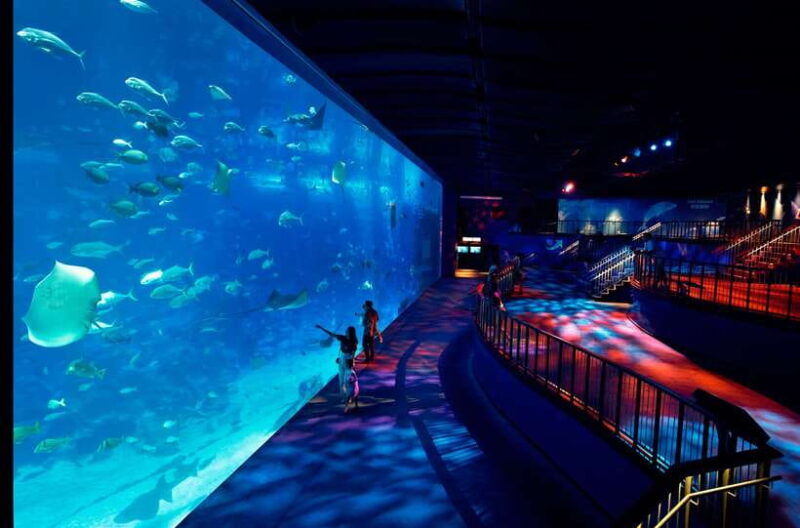singapore-s-e-a-aquarium-entrance-ticket