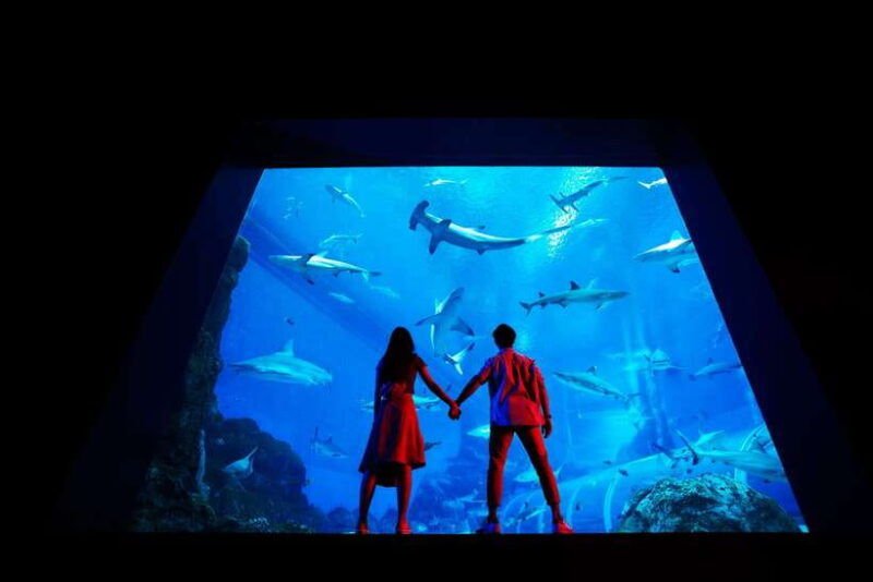 singapore-s-e-a-aquarium-entrance-ticket