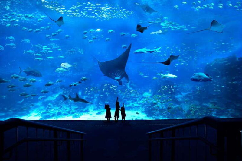 singapore-s-e-a-aquarium-entrance-ticket
