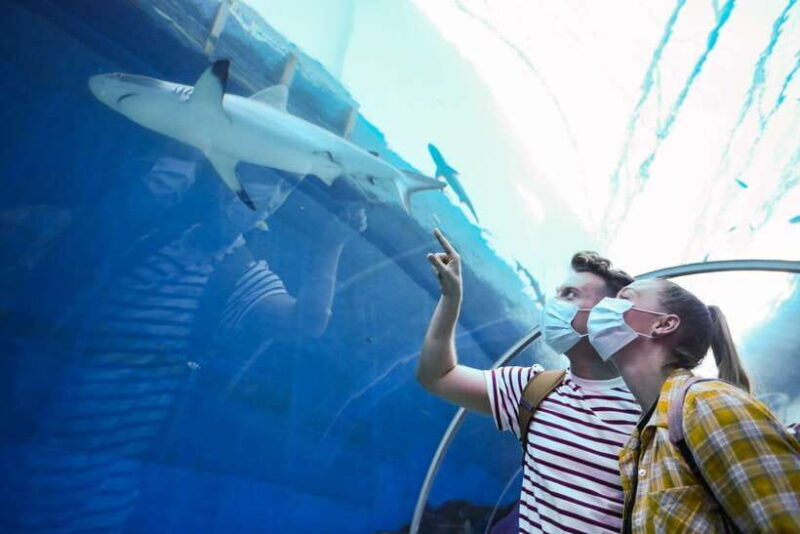 singapore-s-e-a-aquarium-entrance-ticket