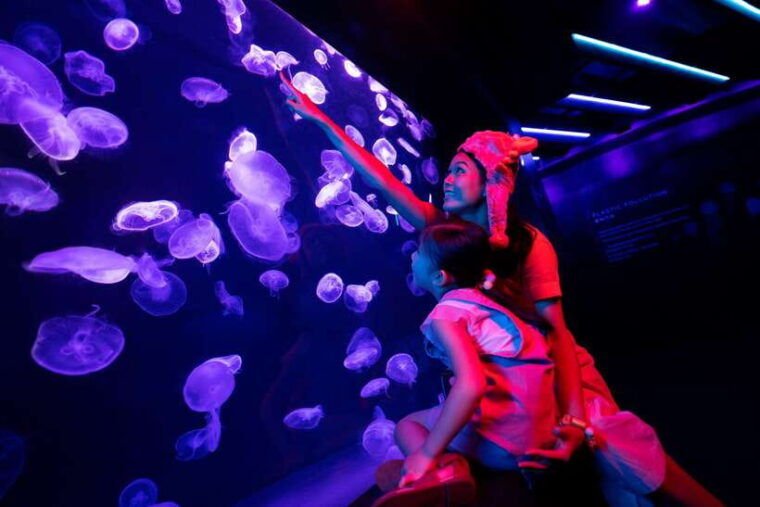 singapore-s-e-a-aquarium-entrance-ticket