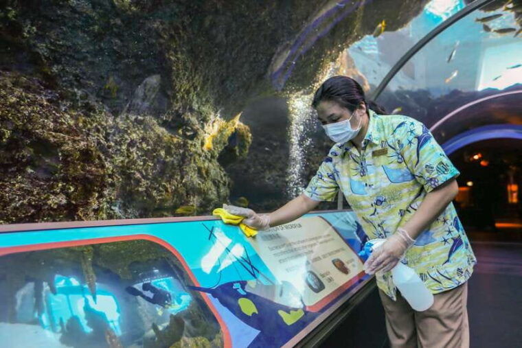 singapore-s-e-a-aquarium-entrance-ticket