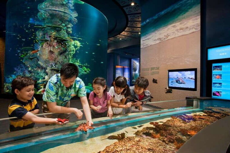 singapore-s-e-a-aquarium-entrance-ticket