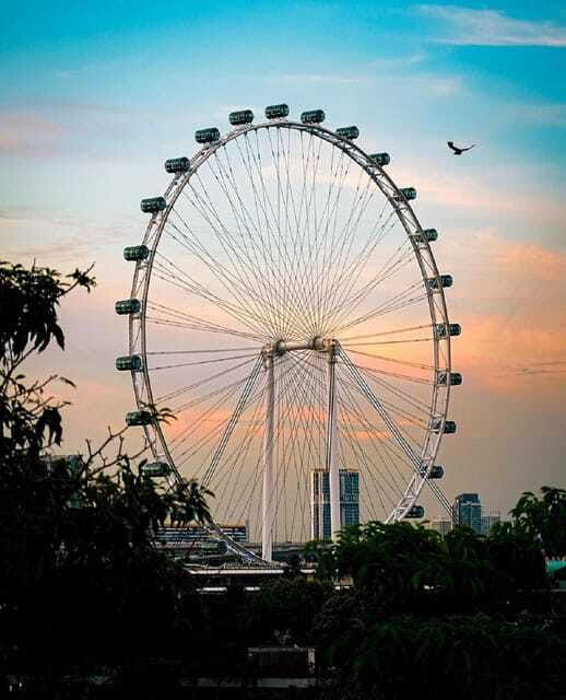 singapore-singapore-flyer-and-time-capsule-entry-ticket