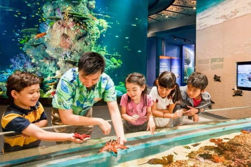 Singapore: Singapore Oceanarium Entrance E-Ticket - Final Thoughts