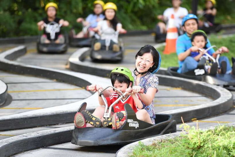 Singapore: Skyline Luge Sentosa Entry Ticket - Key Points