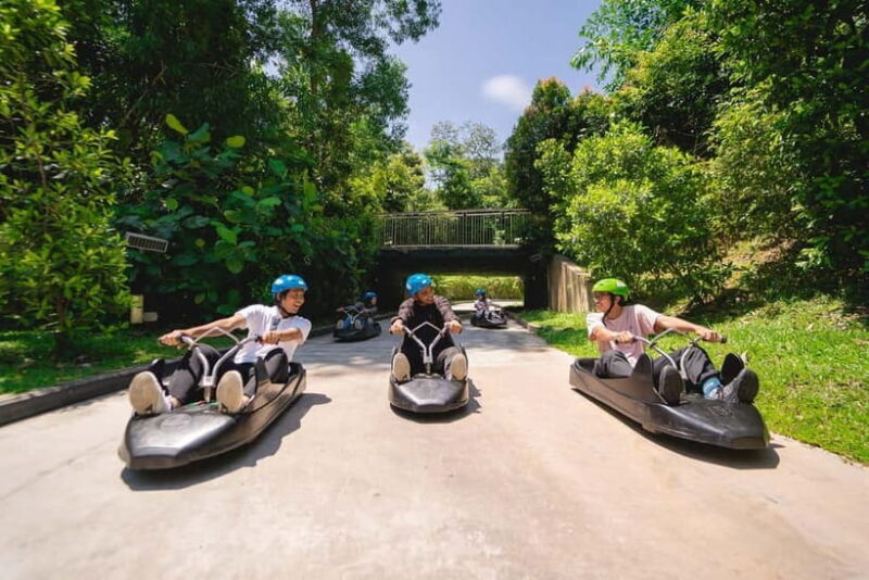 Singapore: Skyline Luge Sentosa Entry Ticket - The Skyride: A Panoramic Highlight