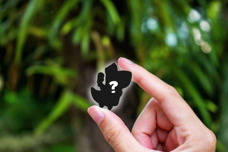 singapore-somerset-outdoor-guided-puzzle-hunt-adventure