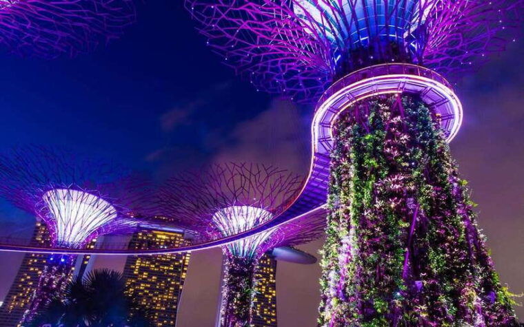 singapore-starry-night-cruise-garden-rhapsody-spectra