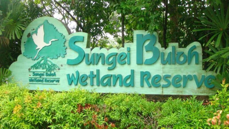 Singapore: Sungei Buloh Wetland Reserve Private Tour - What to Expect: A Detailed Breakdown of the Tour