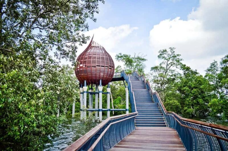 Singapore: Sungei Buloh Wetland Reserve Private Tour - Value and Practical Considerations