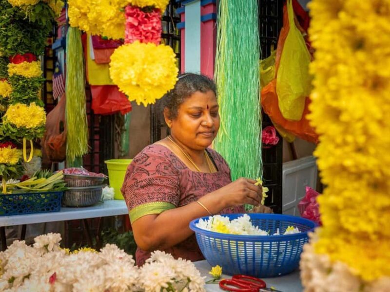 Singapore: Temples, Chinatown and Little India Private Tour - A Closer Look at the Tour Experience