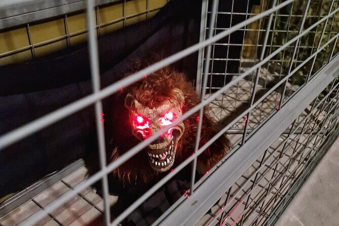 Singapore: Trapped Escape Room Entry Ticket - FAQs