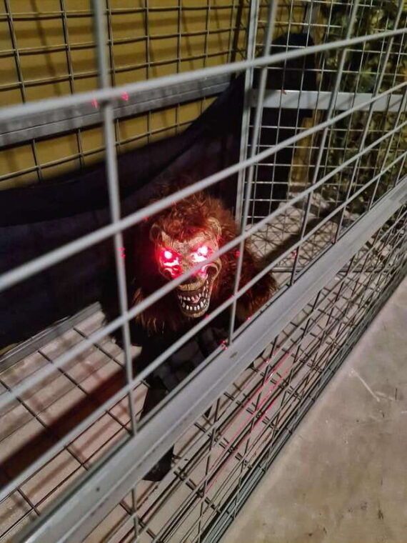 singapore-trapped-escape-room-entry-ticket