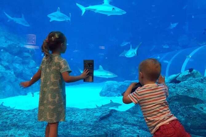 Singapore Universal Studio & S.E.A Aquarium-COMBO One-Day Pass(Shared transfer) - Authentic Insights from Travelers