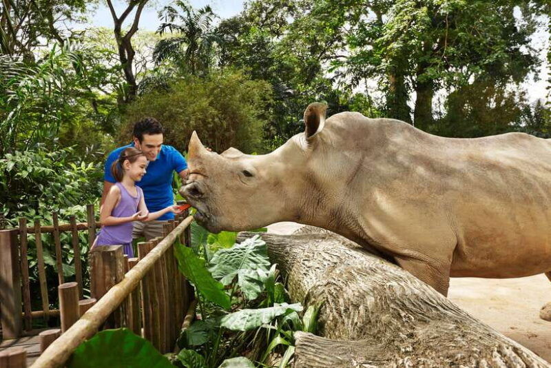 singapore-zoo-1-day-entrance-e-ticket