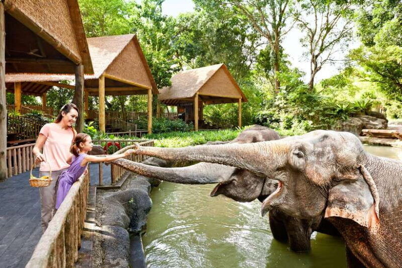 singapore-zoo-1-day-entrance-e-ticket