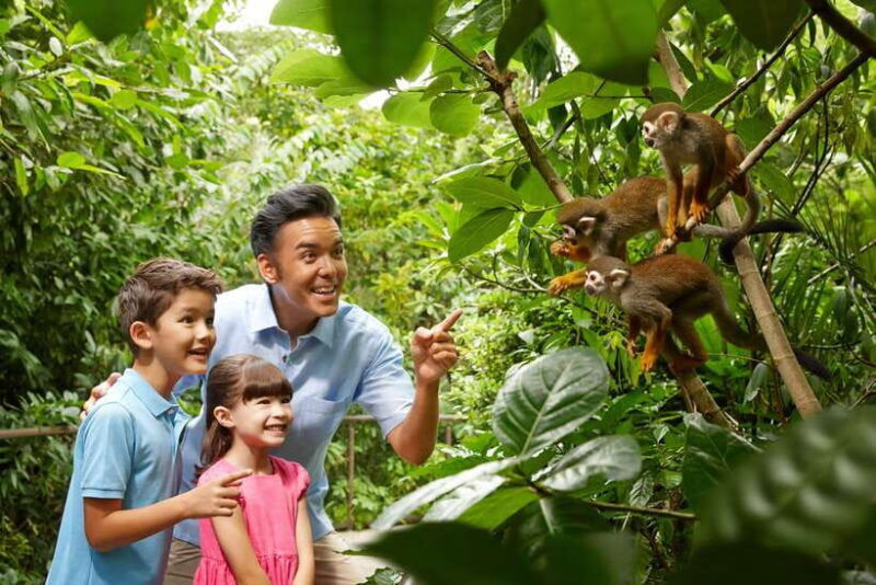singapore-zoo-1-day-entrance-e-ticket