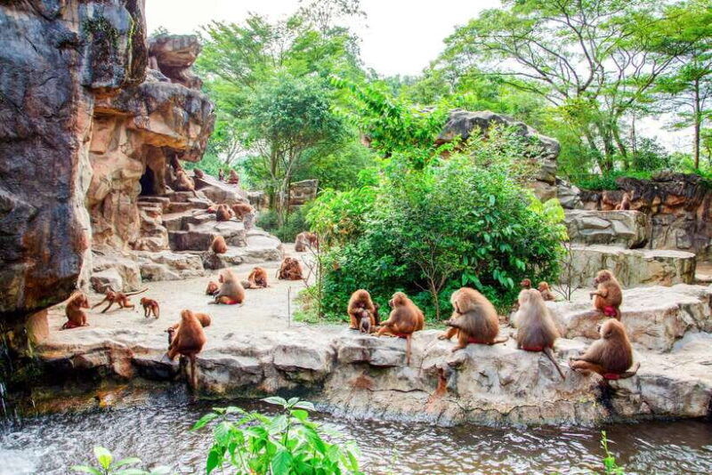 singapore-zoo-1-day-entrance-e-ticket