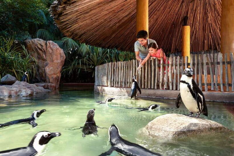 singapore-zoo-1-day-entrance-e-ticket