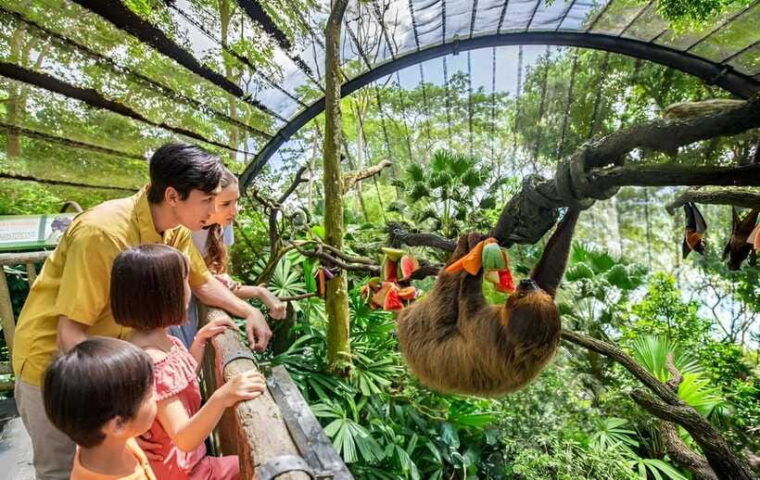 singapore-zoo-1-day-entrance-e-ticket