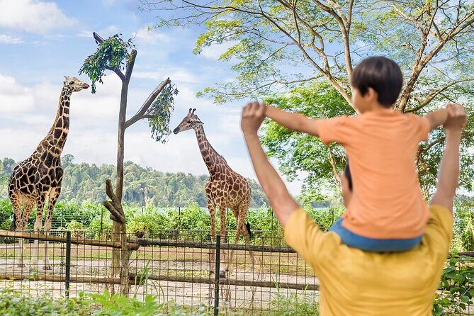 Singapore Zoo and Night Safari Tickets - Exploring the Singapore Zoo: Daytime Wildlife Wonder
