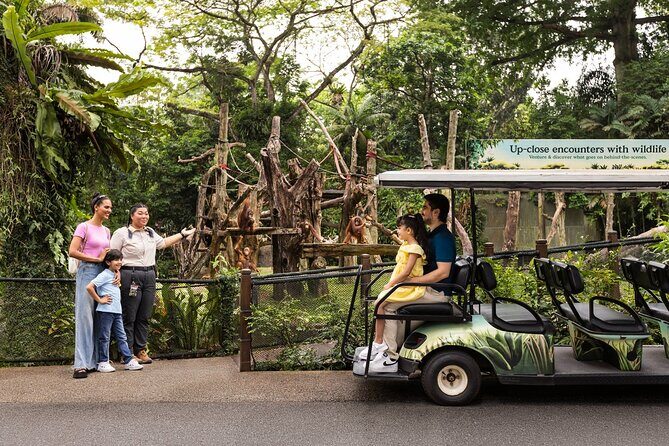 Singapore Zoo Entry Ticket - An In-Depth Look at Singapore Zoo