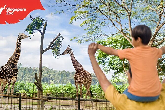 Singapore Zoo Entry Ticket - Who Should Consider This Tour?