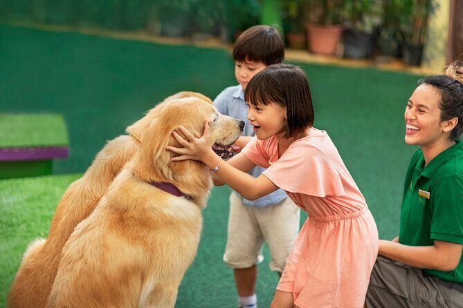 Singapore Zoo Entry Ticket - The Sum Up: Is Singapore Zoo Worth It?