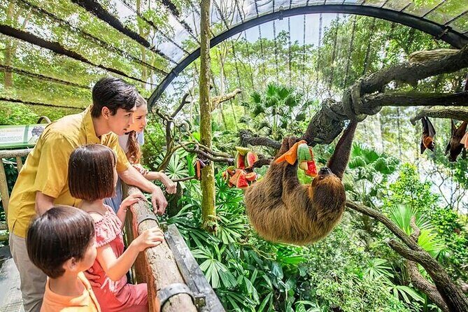Singapore Zoo Tickets with Tram Ride - Key Points