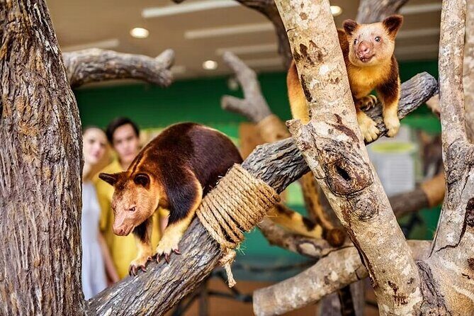 Singapore Zoo Tickets with Tram Ride - FAQs about Singapore Zoo Tickets with Tram Ride