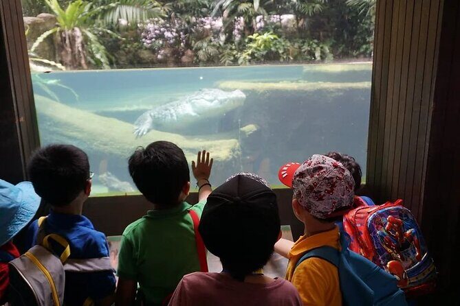 Singapore Zoo with Tram Ride Experience for Tourist - The Experience Breakdown: What to Expect