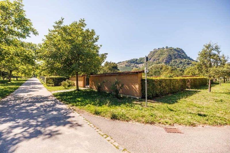 Singing: Guided herb tour "Wild herbs on the banks of the Aa" - Frequently Asked Questions