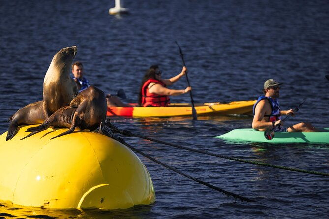 single-kayak-rental-in-mission-bay