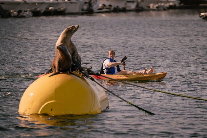 single-kayak-rental-in-mission-bay