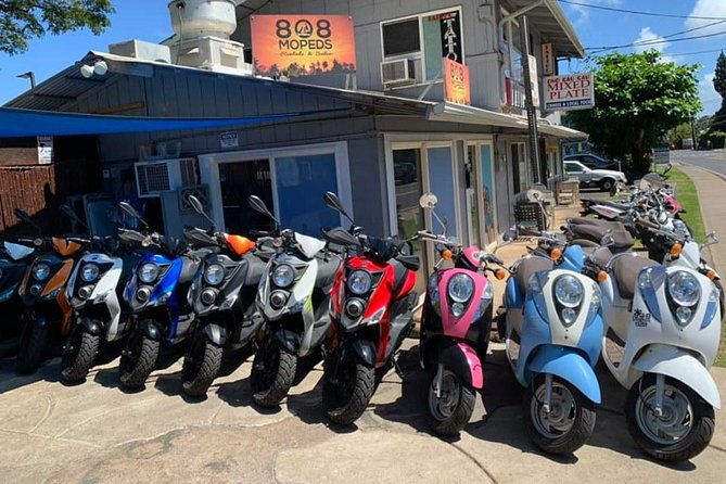 single-passenger-moped-scooter-18-no-motorcycle-license-needed