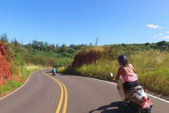 single-passenger-moped-scooter-18-no-motorcycle-license-needed