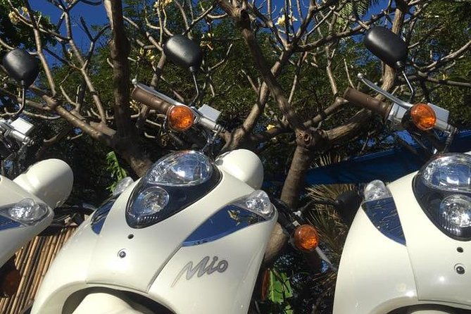 single-passenger-moped-scooter-18-no-motorcycle-license-needed