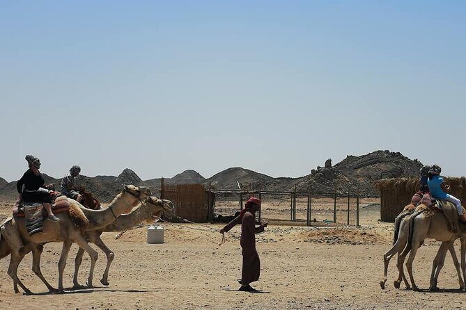 Single Quad Biking - Sharm el Sheikh - Key Points