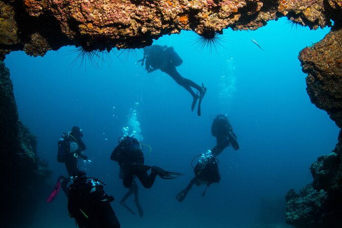 single-scuba-try-dive-in-puerto-del-carmen-small-groups-2-hours