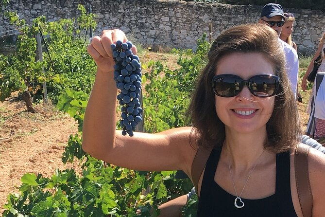 singular-valencia-wine-tour-utiel-requena-wineries