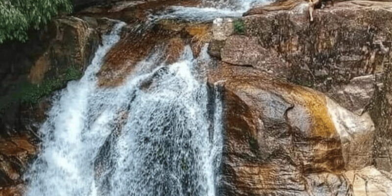 sinharaja-forest-reserve-glamping-with-bbq-night