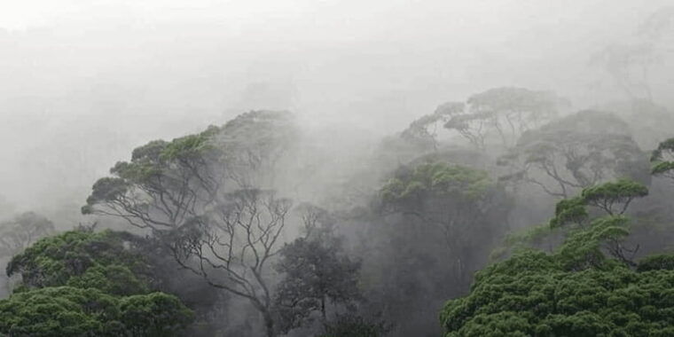 sinharaja-forest-reserve-glamping-with-bbq-night