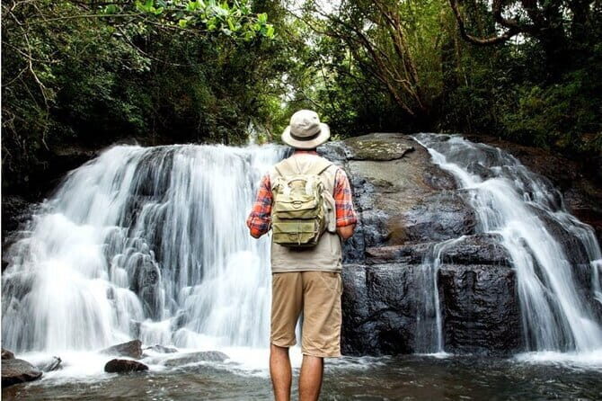 Sinharaja Rain Forest and Tea Factory Day Tour - Key Points