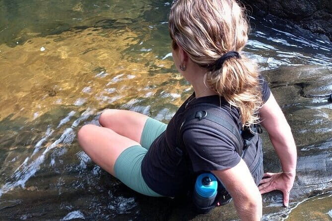 Sinharaja Rain Forest and Tea Factory Day Tour - Introduction: Why Consider This Tour?