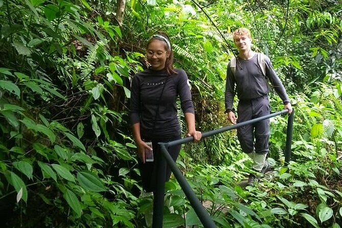 Sinharaja Rain Forest Bird Watching Guided Private Tour - Exploring the Tour in Detail