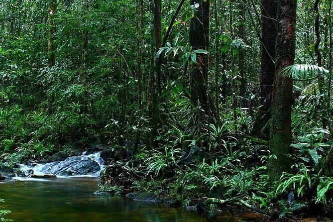 Sinharaja Rain Forest Guided Day Tour - FAQs