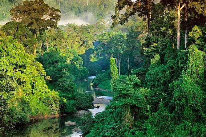 Sinharaja Rain Forest Guided Day Tour From Colombo and Negombo - An In-Depth Look at the Tour Experience