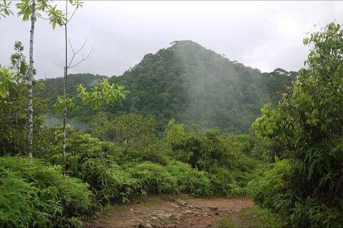 Sinharaja Rain Forest Tour from Tangalle - Final Thoughts: Who Will Love This Tour?