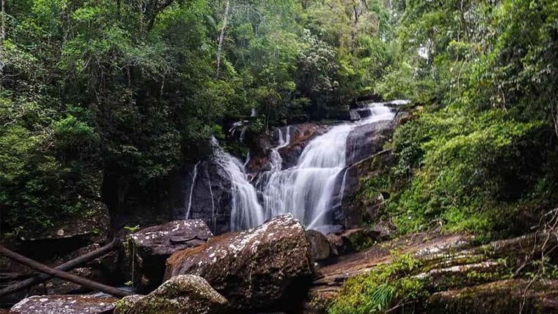 Sinharaja Rain Forest (UNESCO) & Eco 3-Day Tour with Hotel - An In-Depth Look at the Sinharaja Eco Tour